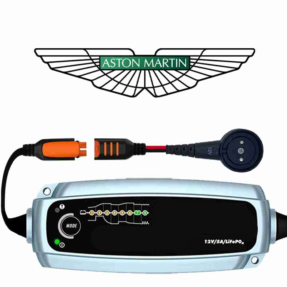 lithium battery charger 12v