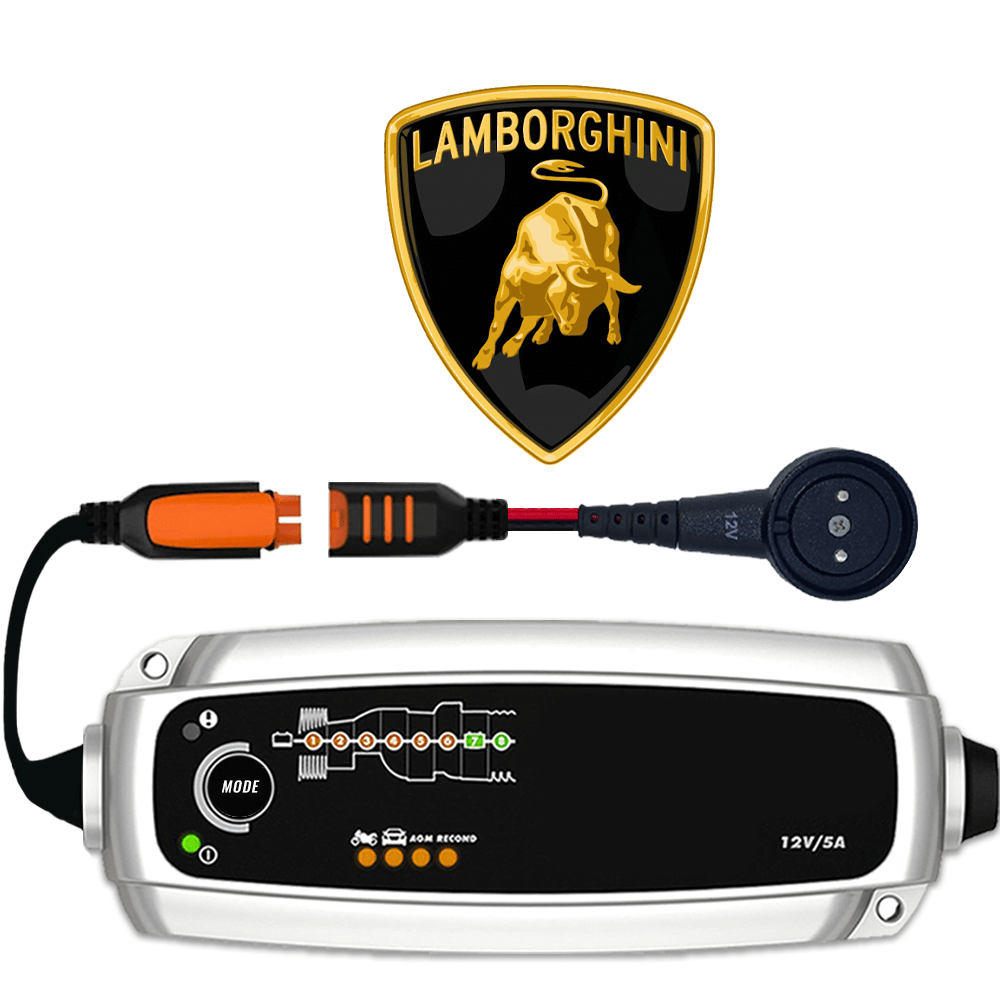 Lamborghini battery maintainer