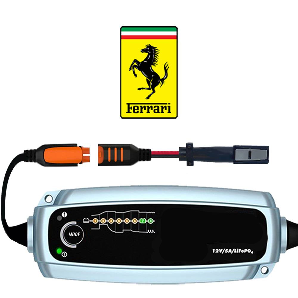 Ferrari battery conditioner